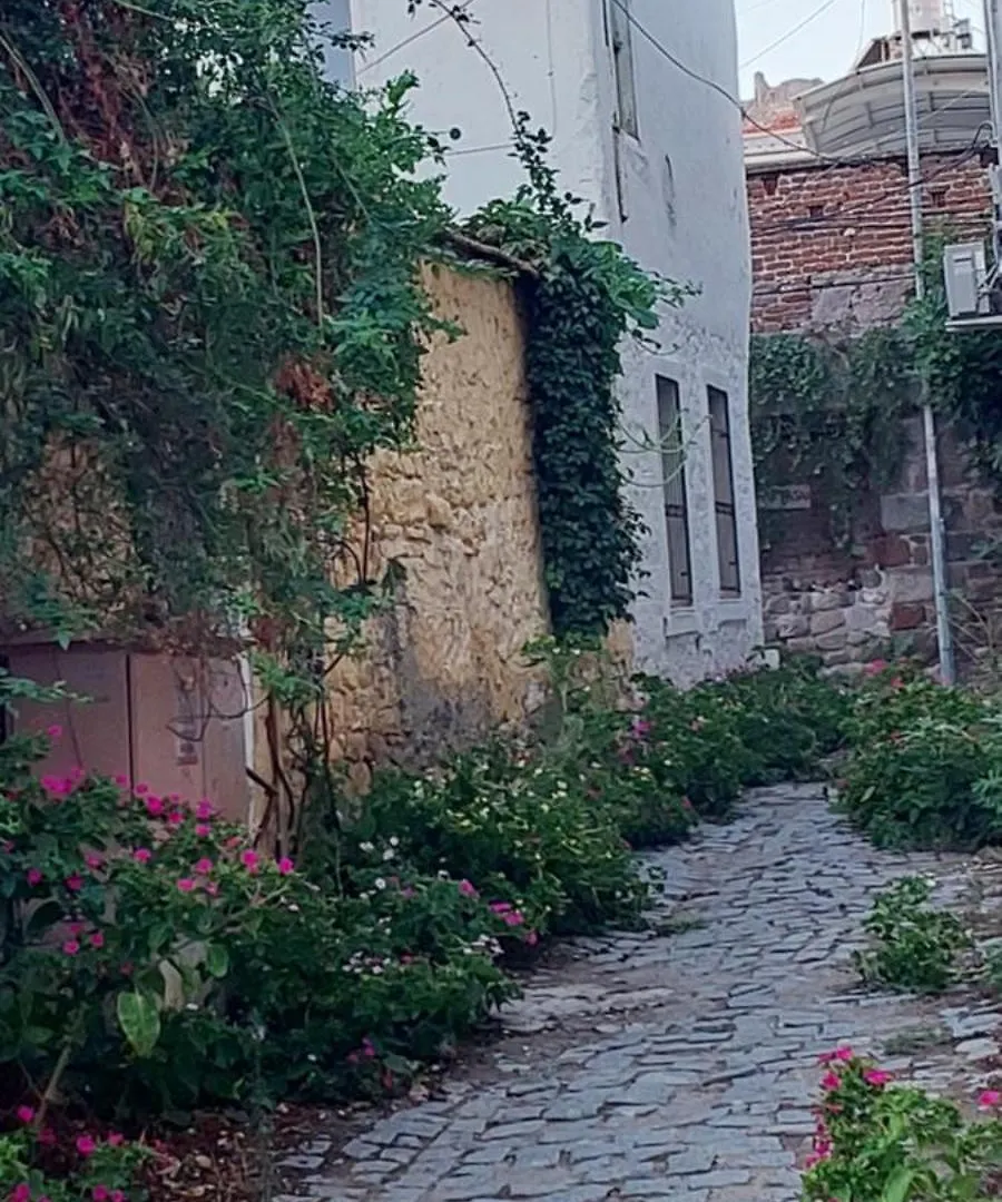 Case de vacanță Voda Suite Bergama